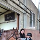 정철희 국제승마센터 이미지