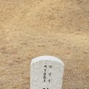 우진부동산공인중개사사무소 | 장동김씨 세장지 - 김상헌외