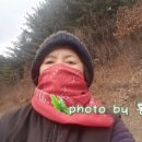 산속농원 이미지