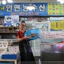 안면도수산시장 이미지