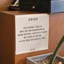 삼색보양 전골 | 수원시청 맛집 정초손만두 깊은 사골 국물 뜨끈한 전골