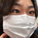 도도브로우 이미지