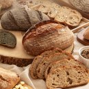 월광음악학원 | 대전 빵축제 2025 &amp; 성심당, 그리고 음악가의 빵 이야기