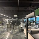 이지피티 이미지