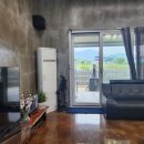 쑤기네 풀 이미지