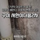 인동초교 | 17년차 아파트의 충격! 곰팡이 베란다, 이렇게 변했습니다! (구미 인동서한이다음 2차 시공 후기)