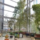 롯데하이마트(주)대치점 | 하이마트 대치점 :: 갤럭시북 프로 삼성 노트북 가격 정보