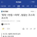 지금은 천하제일 단타장 (폭락→반등→하락’…힘없는 코스피·코스닥) 이미지