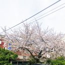김종욱커피 이미지