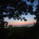 설국농장 이미지