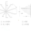 실전모의고사-5회 이미지