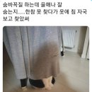 메타복싱 이미지
