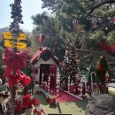 메가센트럴약국 | 이번주 먹로그 🍽️