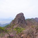 우두산 Daum카페