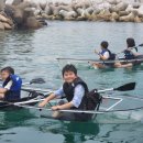 자라마을 이미지