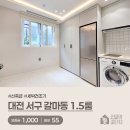 갈마1동행정복지센터 | 대전 서구 갈마동, 갈마1동 행정복지센터 인근 신축급 1.5룸 [매물번호: 757]