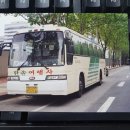 (주)한솔여행사 이미지