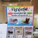 써니펫살롱 이미지