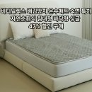 (주) 비티나인소프트 | 비티일렉스 배김방지 온수매트 숙면 특허 자연순환식 침대형 바닥형 싱글, 47% 할인 구매