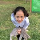 언제나고양이 이미지