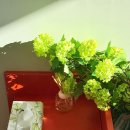 하이커피 이미지