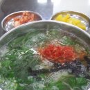 스쿠터타고 부산맛집 투어 1탄 - 칼국수 이미지