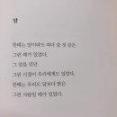 여수 개도 야영 둘째날 이미지