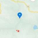 예천군용궁면대은보건진료소 | 국사지맥 북진 용문산(770.6m)-매봉(865m)-성황당재 나홀로 산행