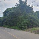 서귀포남원공인중개사사무소 이미지