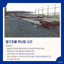 헌정안전