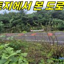 성읍민속로 이미지