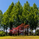 강원도립화목원 이미지