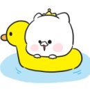 교동해물탕 이미지