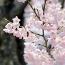 용암3길 이미지