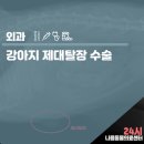 다나음동물병원 이미지