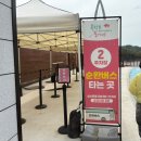 백두개가든 | 전북임실완주군 오봉산가든/옥정호 붕어섬 갔다온 [내돈내산]솔직후기/신나는 토요일 꽃놀이 콧바람쐬고...