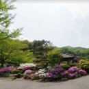 114부동산중개인사무소 이미지