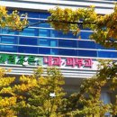 센텀조은의원 이미지