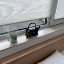 스테이소시담가독채풀빌라펜션 | 강릉 | 풀빌라 독채 펜션 소시담가