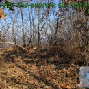 여주-0827 이미지