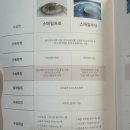 스마일안경 이미지