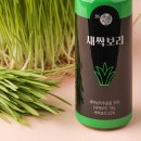 새싹보리주스 급냉착즙주스 다이어터에게 필수