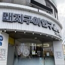 제육연구소 | 제주에서 만난 제육볶음 맛집 돼지구이연구소 후기, 영업시간, 주차 팁