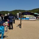 황산도갯벌체험장 | 인천 무의도 하나개해수욕장 포내갯벌체험장 후기 +준비물, 해감 꿀팁