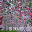 이진철농장 이미지