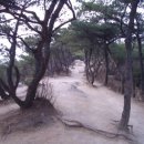 솔랑구 Daum카페