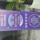 Angel's 코인노래연습장 이미지