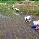 새참하우스 이미지