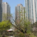 반포정공인중개사사무소 이미지