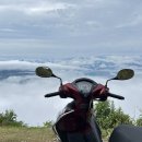 성지오토바이 이미지